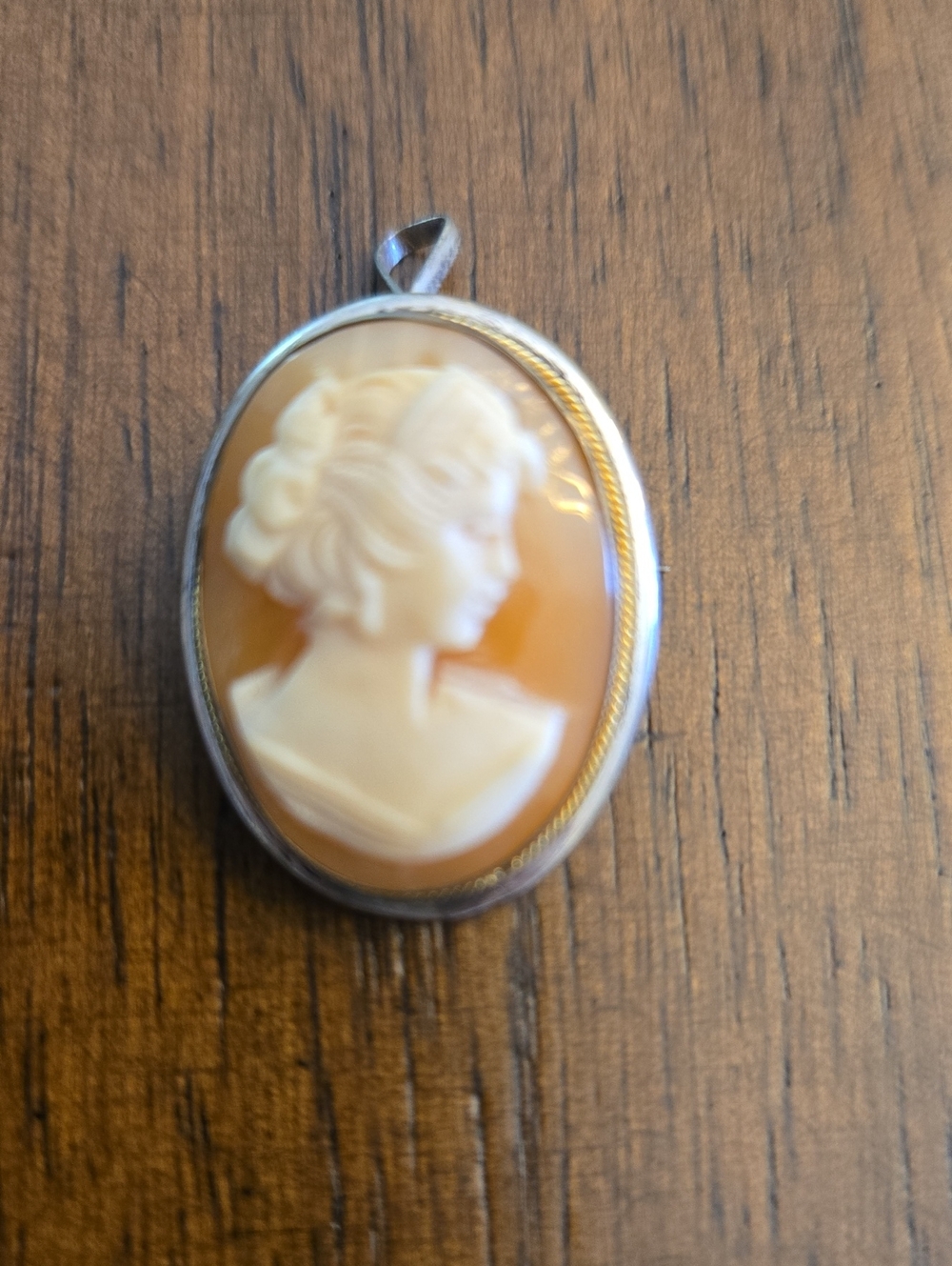 Vintage Cameo Portrait Pendant/Necklace in Cream and Amber